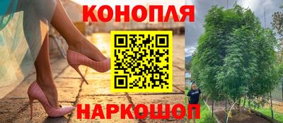 молекула духа Будённовск